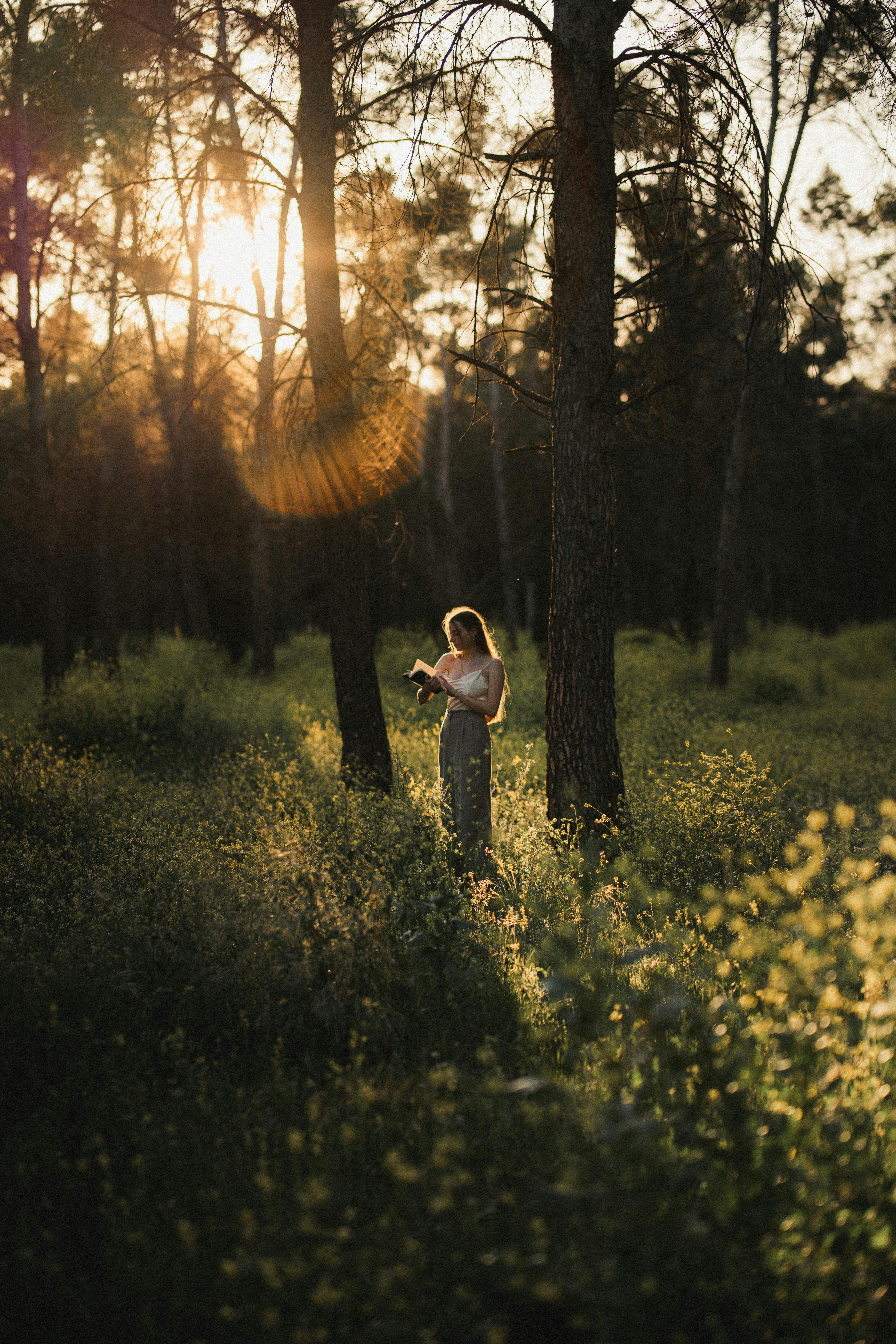 A woman enjoys reading a book in a sunlit forest clearing at sunset, surrounded by nature.