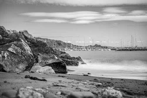 Grayscale Photo of a Rocky Shore