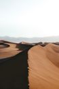 Landscape of Windswept Sand 