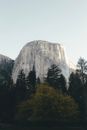 El Capitan Rock Formation in Yosemite National Park 