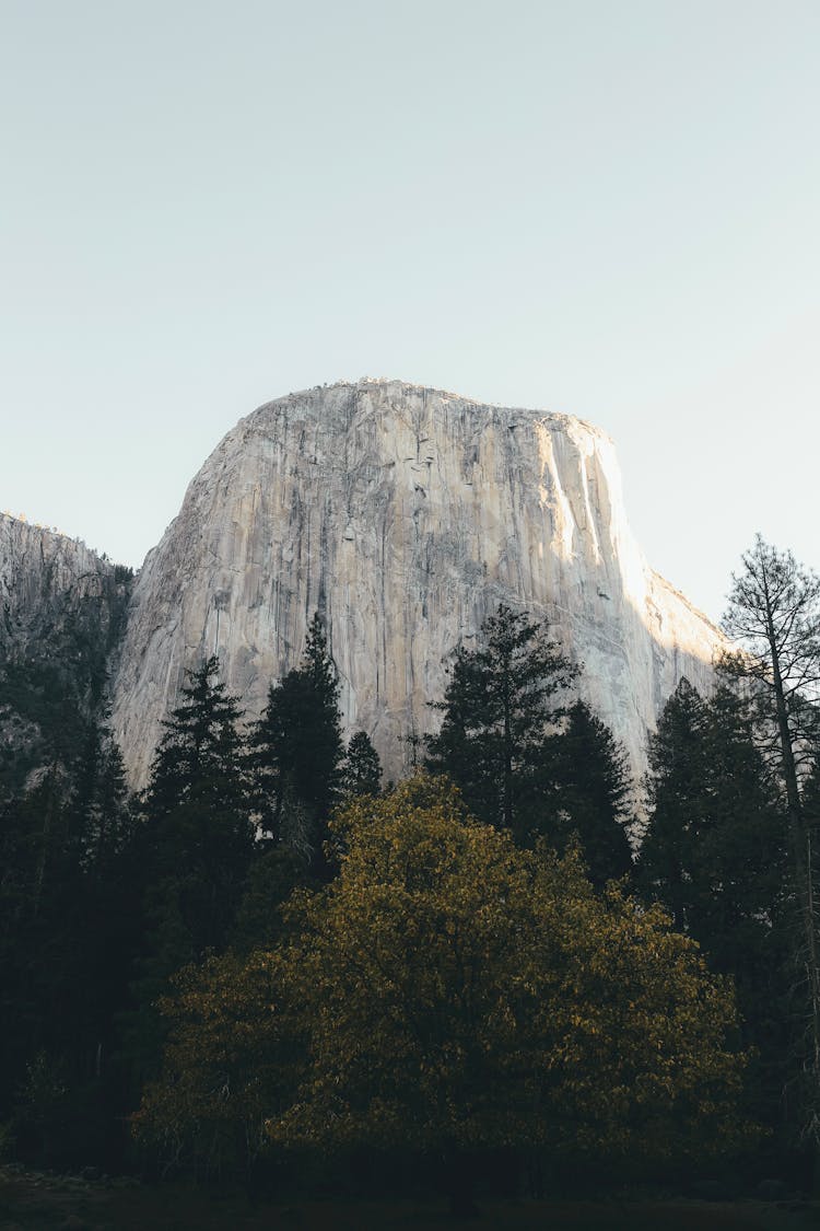 El Capitan Rock Formation In Yosemite National Park 