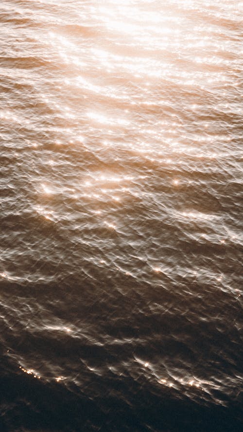 Kostnadsfri bild av dagsljus, hav, solljus