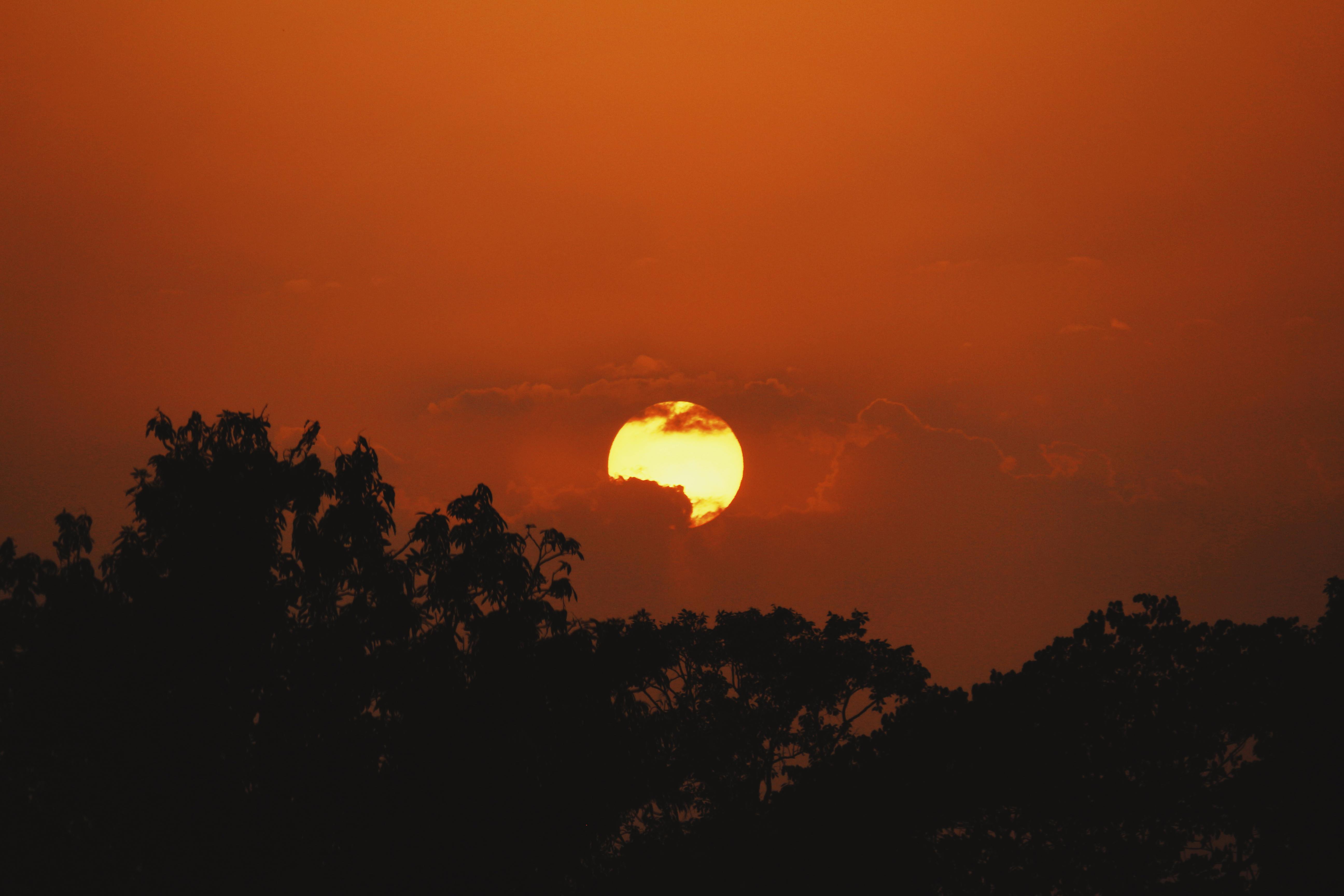 Free stock photo of evening sun, sunset