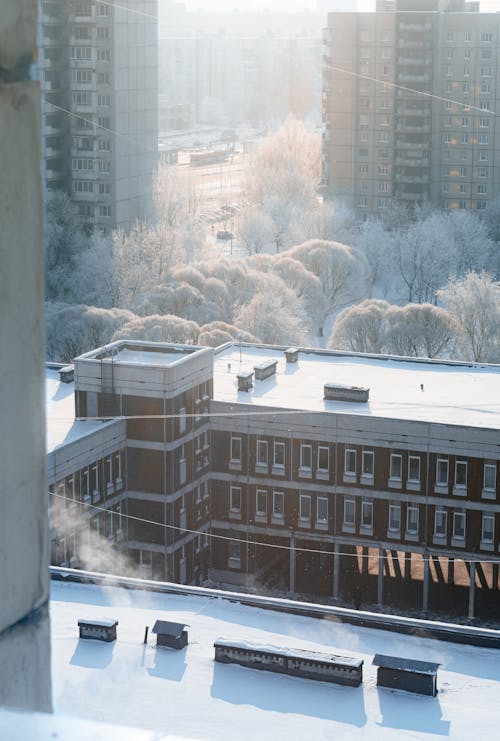 Free Photograph of Buildings Near Trees Covered in Snow Stock Photo