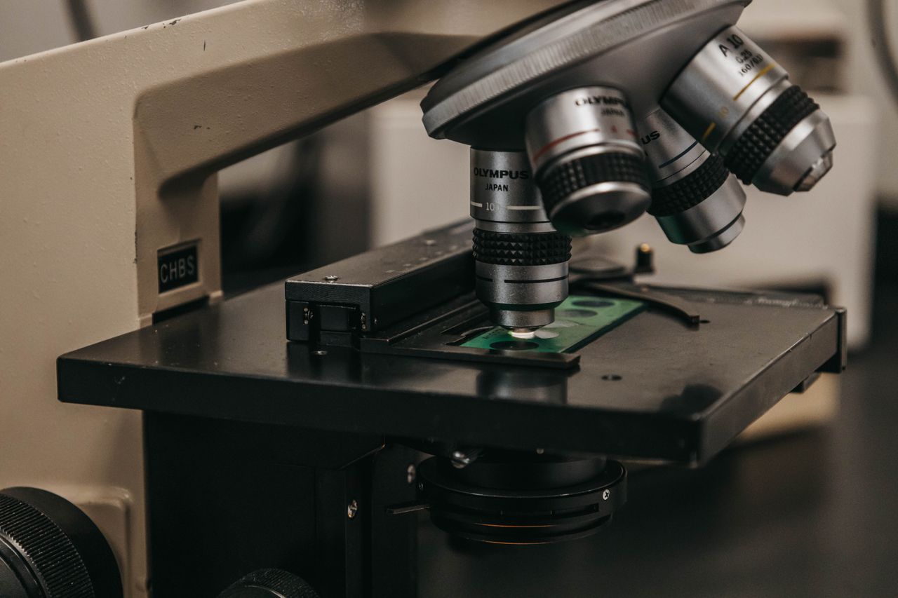 Researchers Identify Elevated Meprin-β Levels in Alzheimer's Patients
