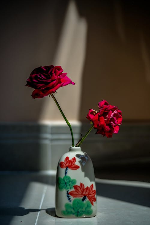 Photograph of Red Roses in a Vase