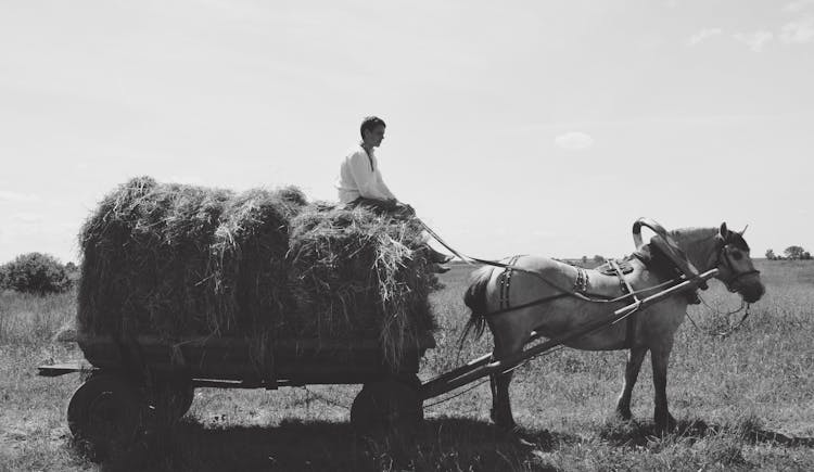 Man Sitting On A Pile Of Hay