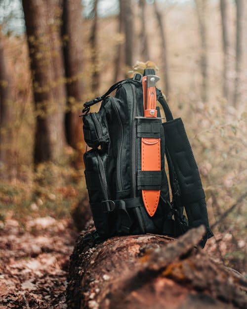 A Black Backpack on a Tree Log