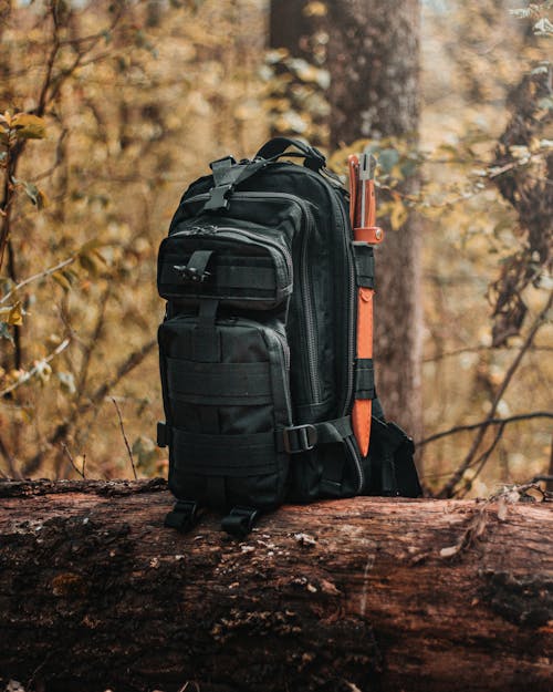 A Black Backpack on a Tree Log