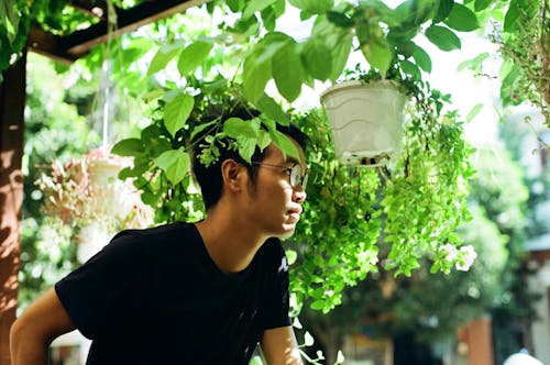 A Man Wearing a Black Shirt Standing Beside Hanging Plants