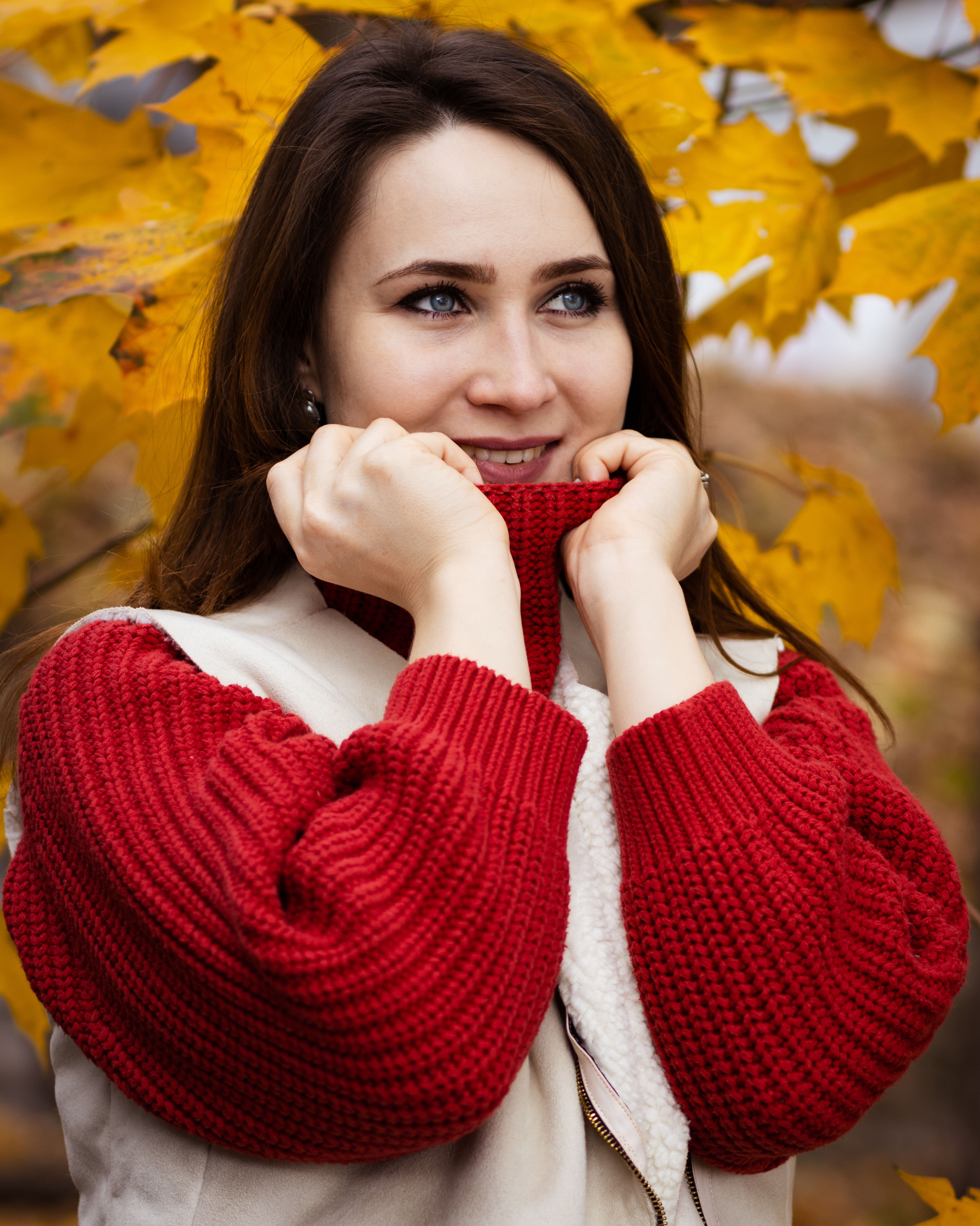 Woman in Red Sweater Posing near Maple Leaves · Free Stock Photo