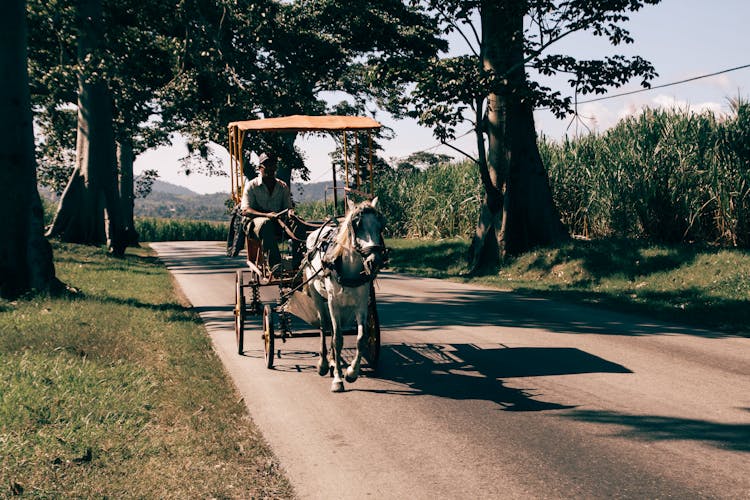 Photograph Of A Man Riding A Horse Carriage