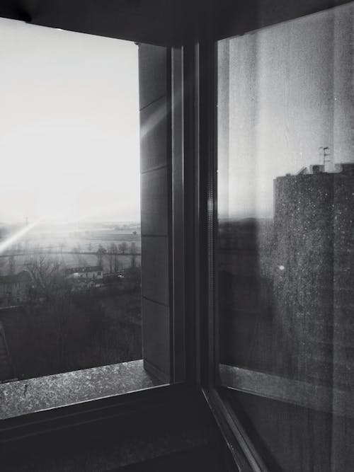 Black and White Photo of the View From a Window
