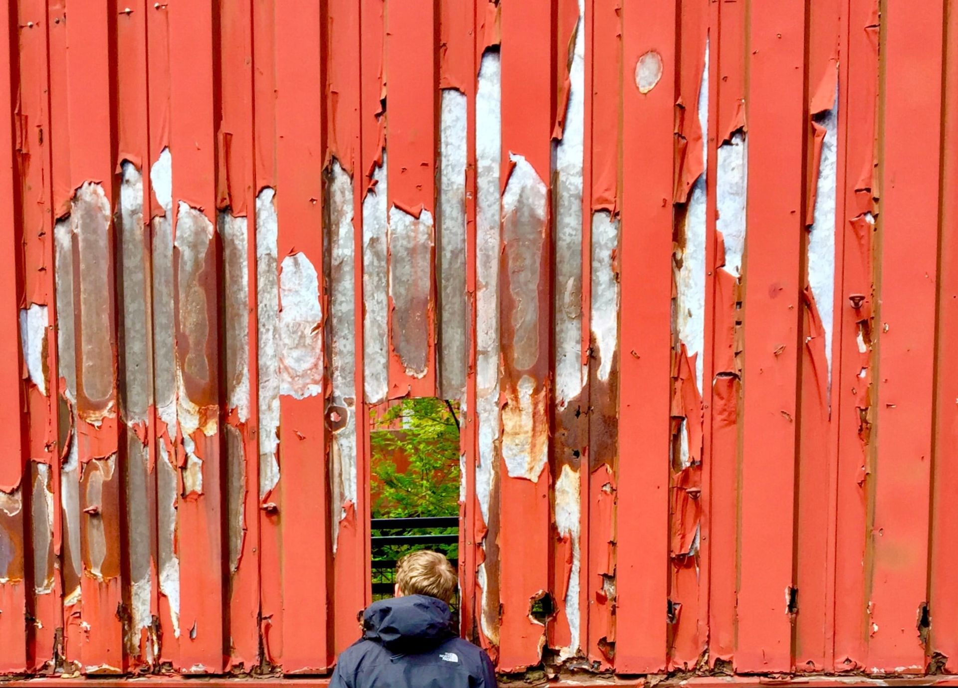 A person in a jacket looks through a gap in a rusty metal fence, observing the greenery beyond.