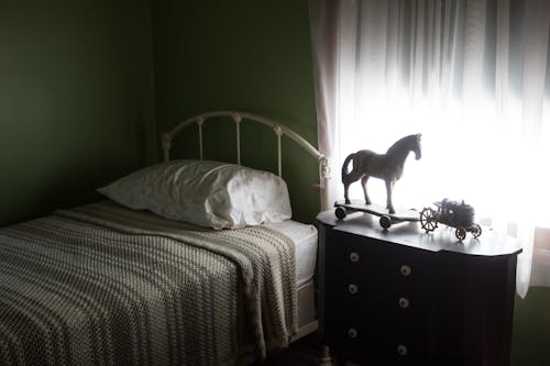 Darmowe zdjęcie z galerii z historia, koń, łóżko