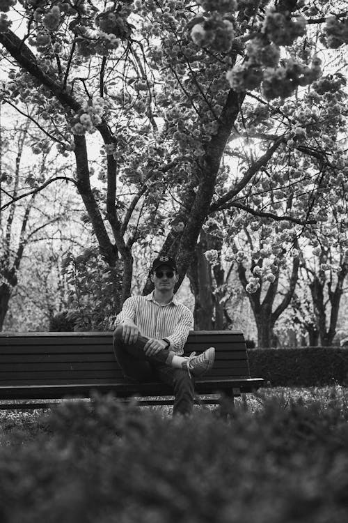 Man Sitting on a Beach near a Tree