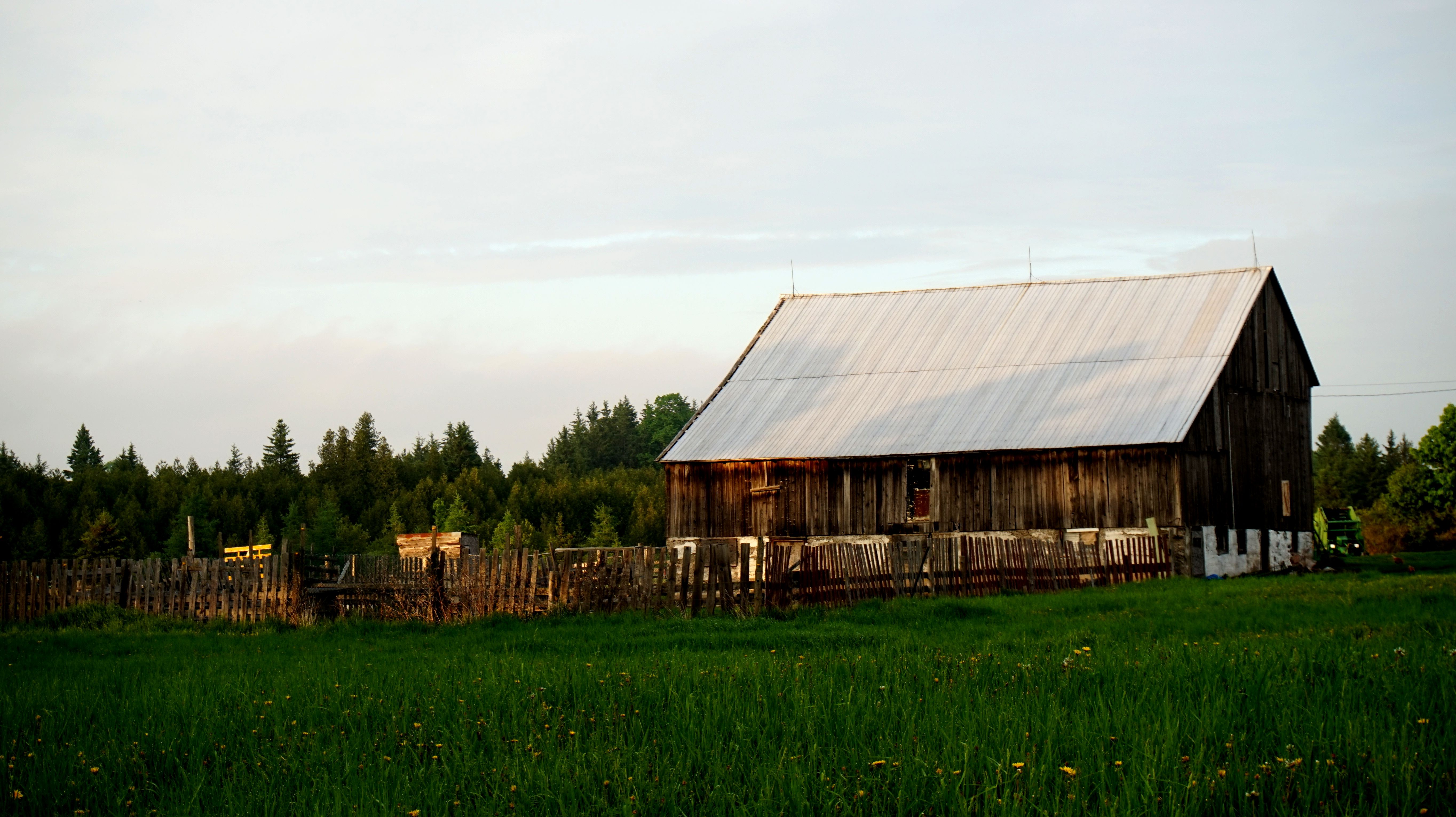 Broem Barn Brown Wooden Barn on Green Grassland · Free Stock Photo