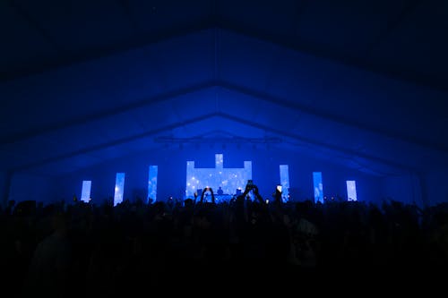 People Raising Phones in Dark Room