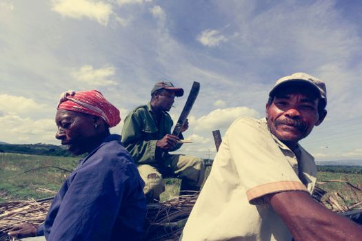 Man Holding a Machete