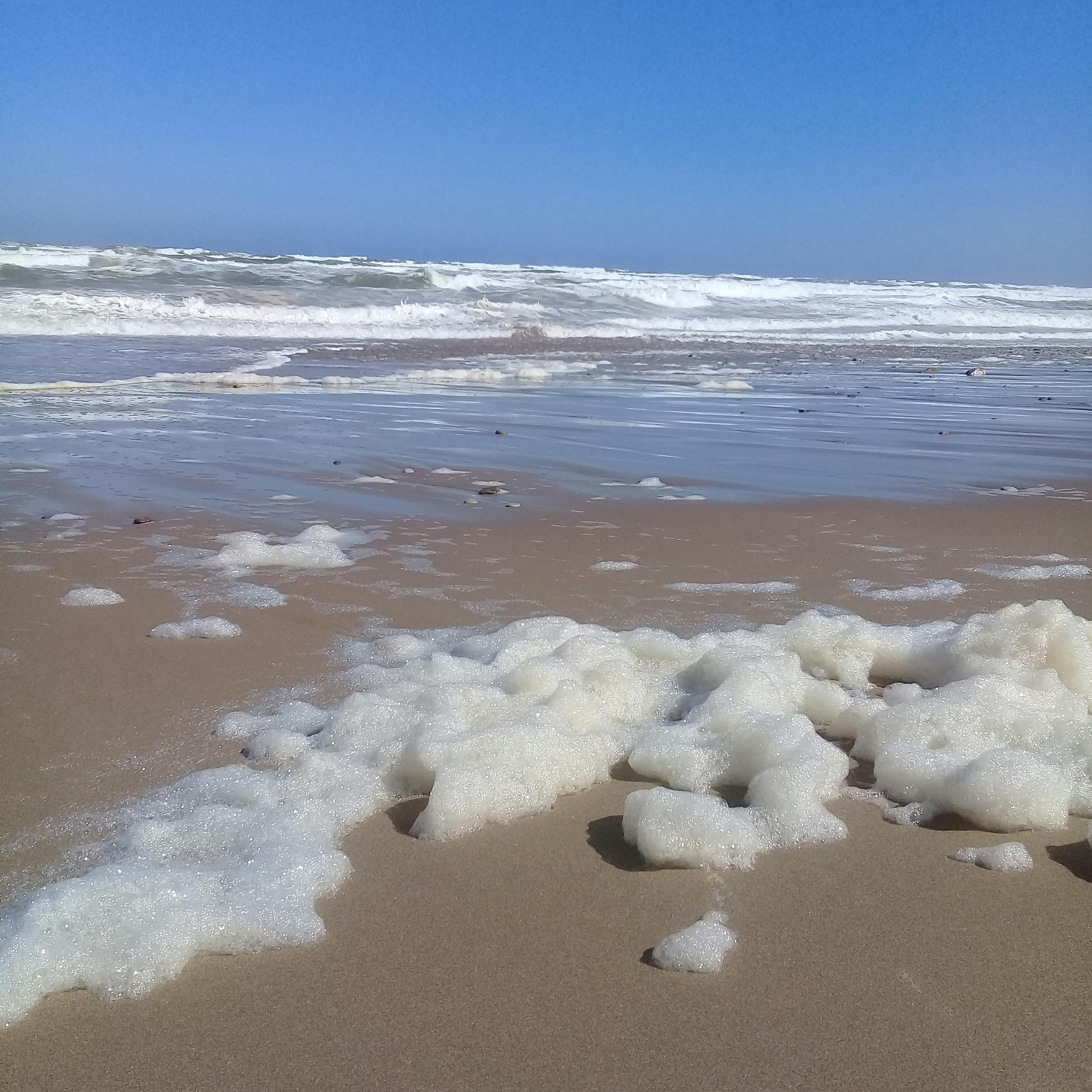 Free stock photo of plage sea foam, sea foam