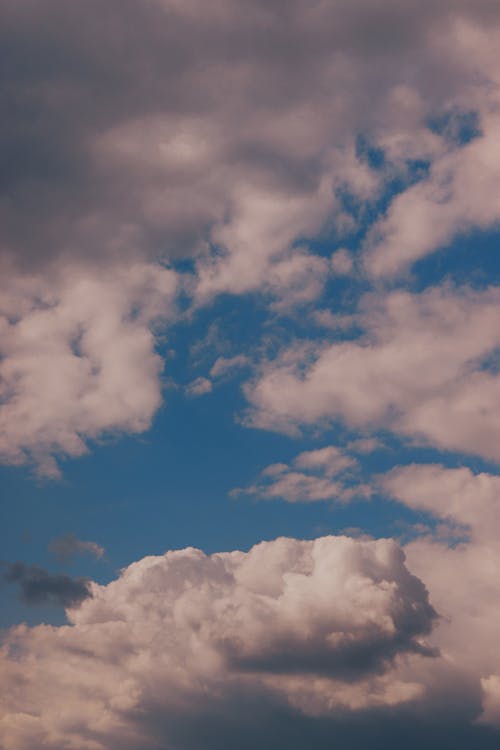 Kostnadsfria Kostnadsfri bild av atmosfär, bakgrund, blå himmel Stock foto