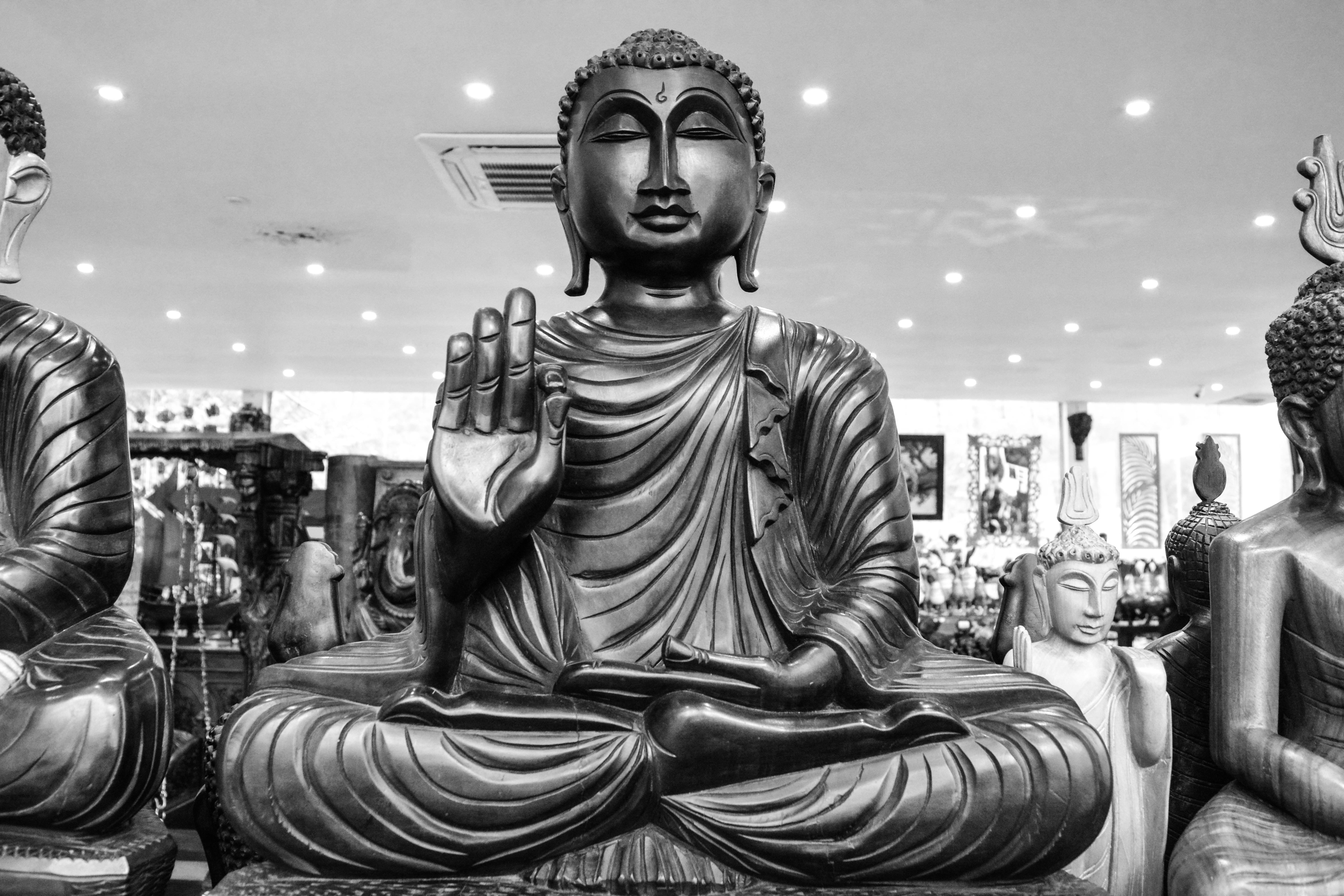 Free Stock Photo Of Black And White Black And White Buddha