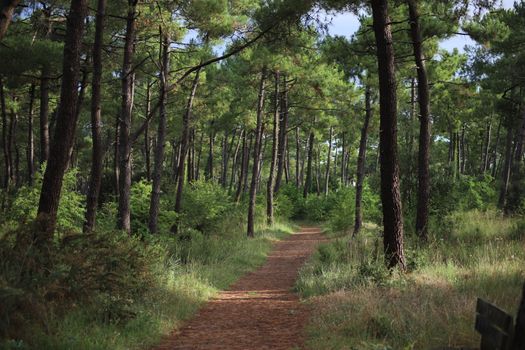 Achères-la-Forêt