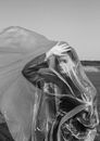 Grayscale Photo of a Woman Holding a Plastic