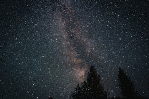 Scenic View of a Starry Night Sky