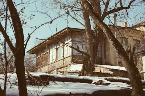 Bare Trees Outside an Abandoned Building