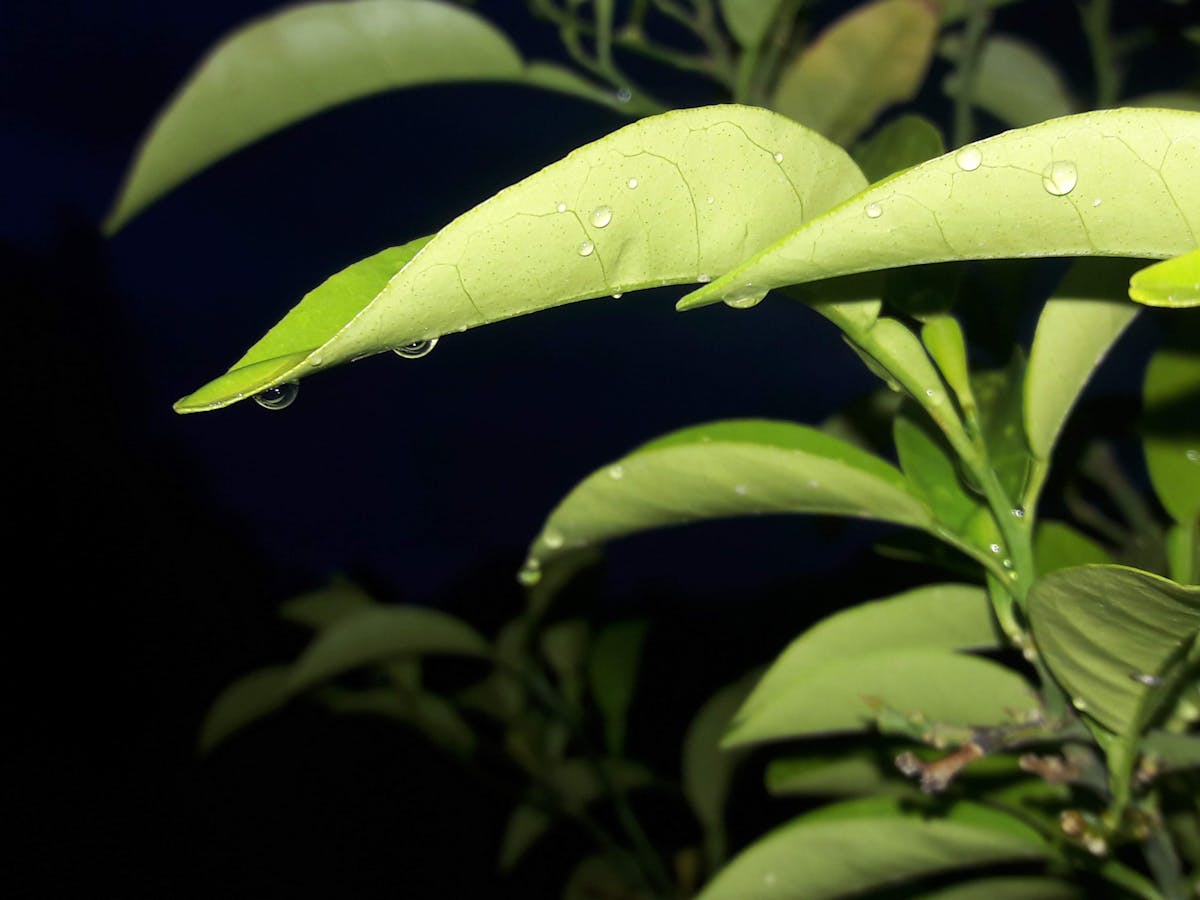 Crowd at a pop concert with hands raised and colorful stage lights