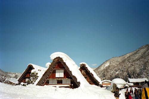 People Standing Near Snow Covered Cabins