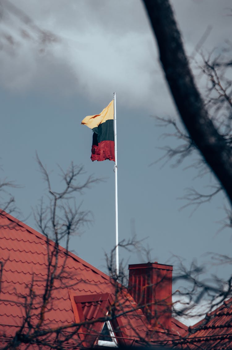 Flag Of Lithuania