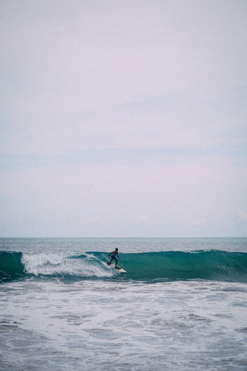 Surfer on Ocean Wave