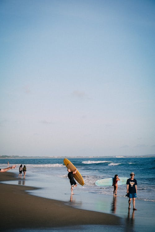 Surfboarders on the Seashore