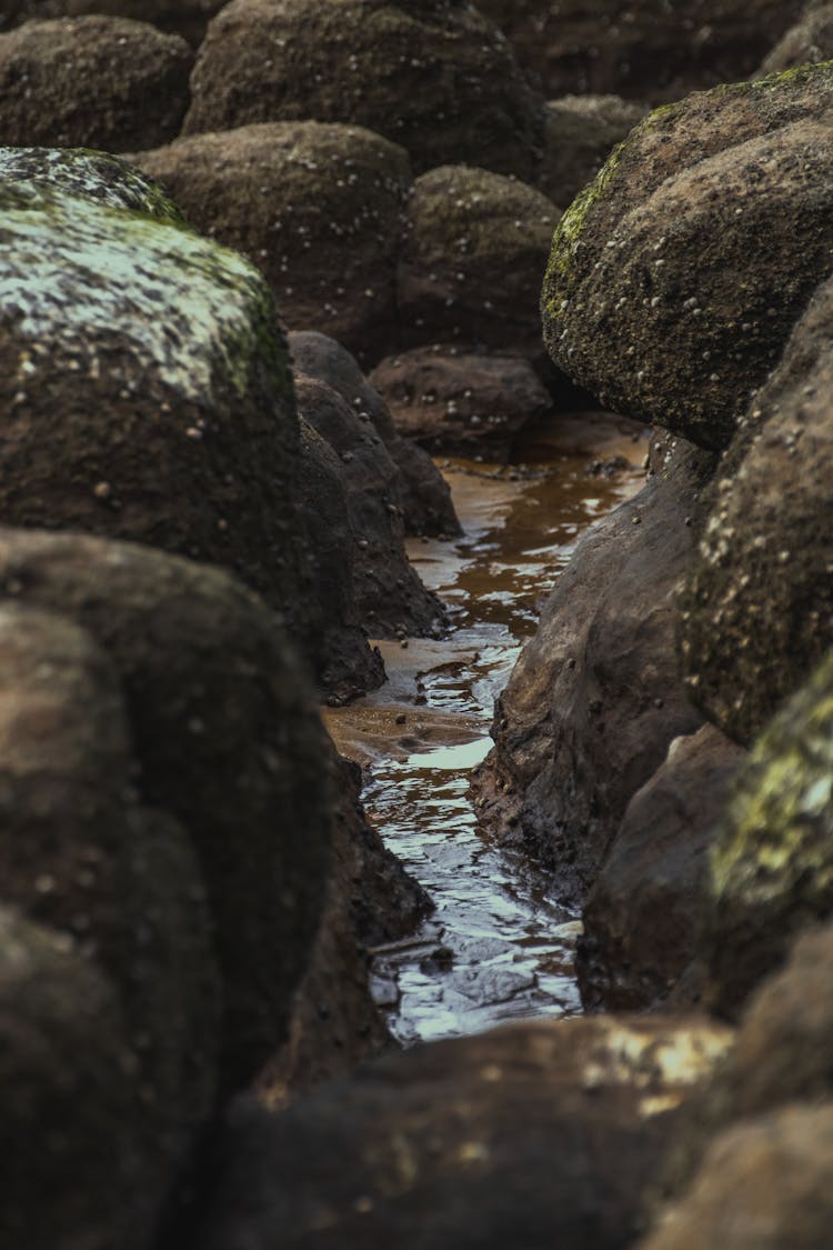 A Rivulet In Between Rocks