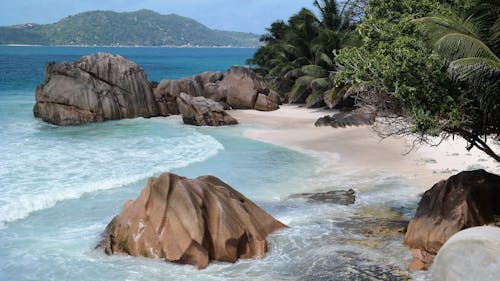 Free Serene tropical beach with unique rock formations and lush palm trees. Stock Photo