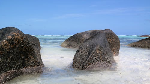 ビーチ, 岩, 岸の無料の写真素材
