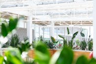 现代室内温室拥有丰富的绿色植物和充足的自然光线，营造出宁静的氛围