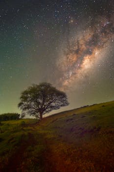 Stunning view of a lone tree under the vibrant Milky Way in a clear night sky.