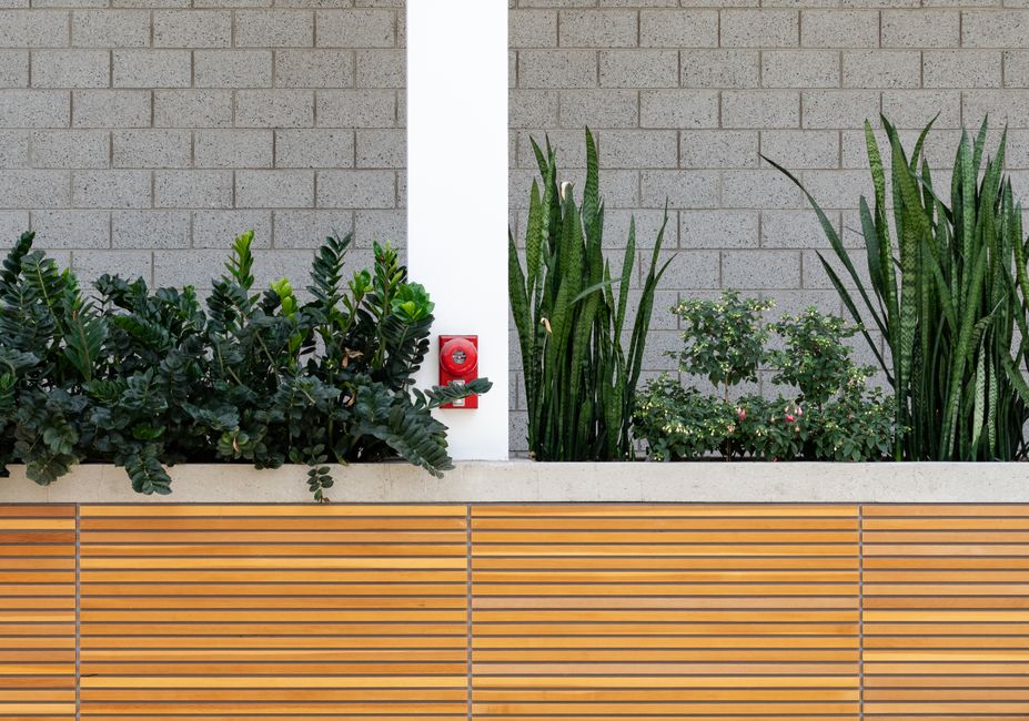 A tall, architectural Snake Plant in a sleek corporate lobby setting - indoor plants for office space A tall, architectural Snake Plant in a sleek corporate lobby setting - indoor plants for office space
