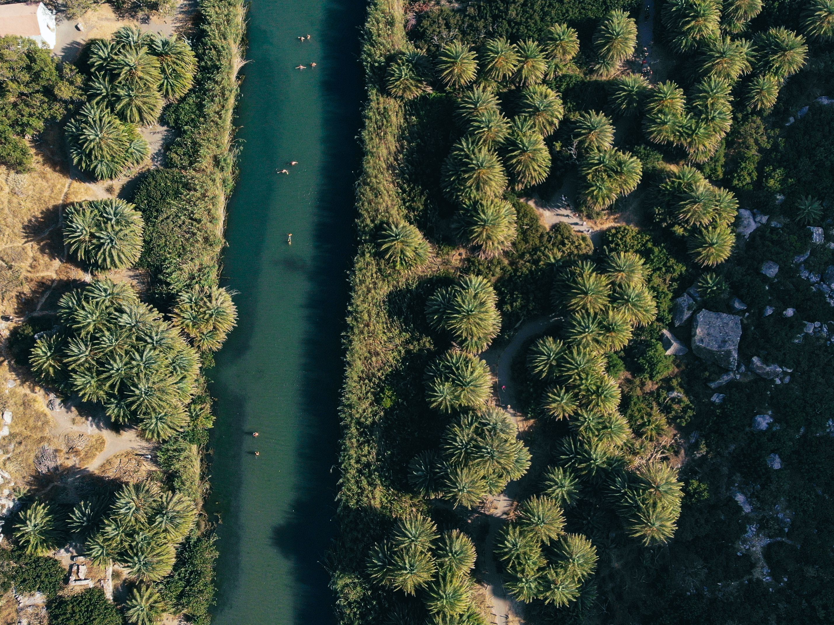 Plaża i las palmowy Preveli
