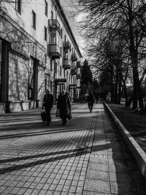 Free Monochrome street view of people walking on a sidewalk, casting long shadows. Stock Photo