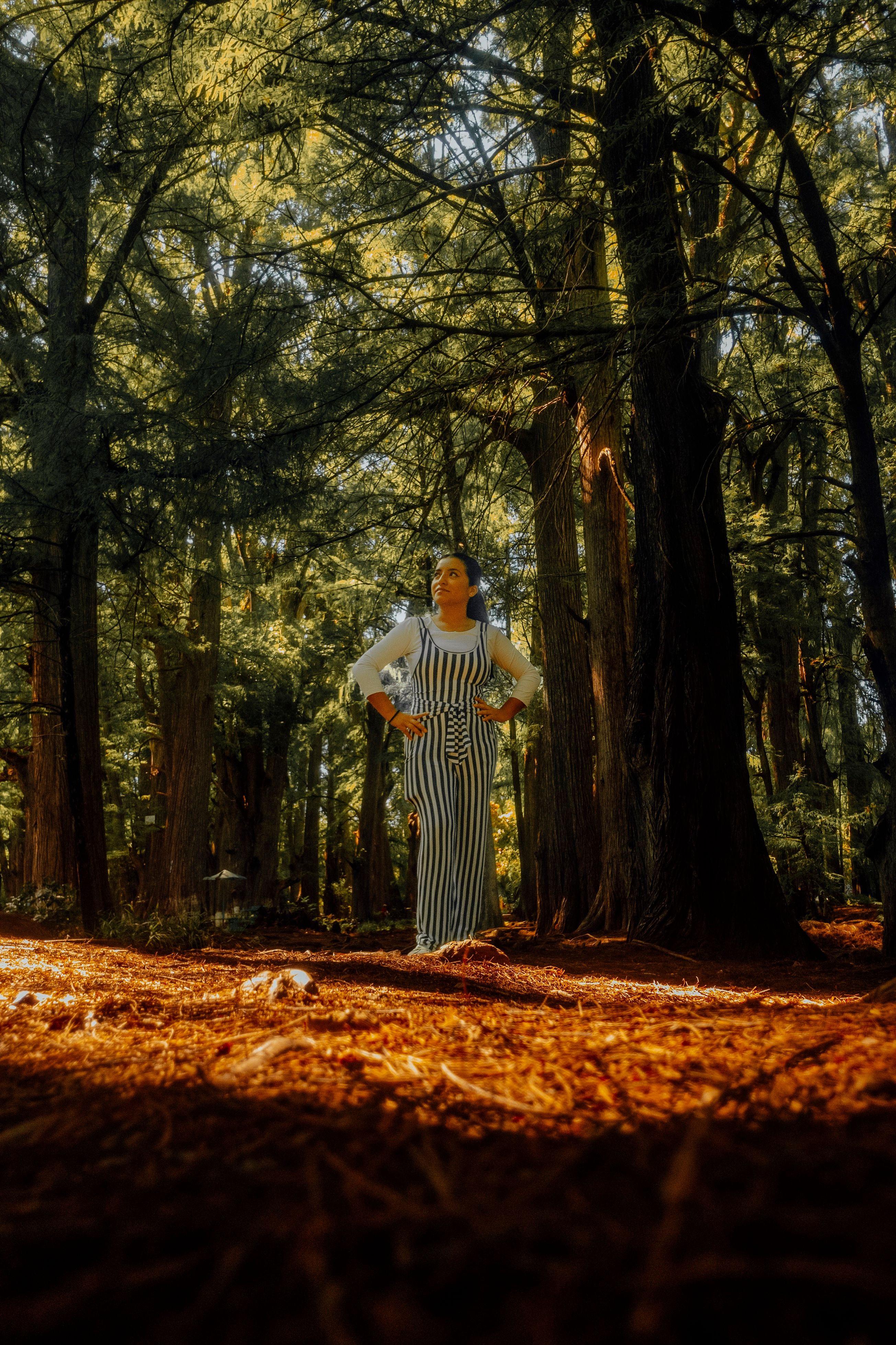 Woman Standing in the Middle of a Forest · Free Stock Photo