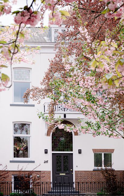 Discover the serene beauty of a Rotterdam house framed by vibrant cherry blossoms.
