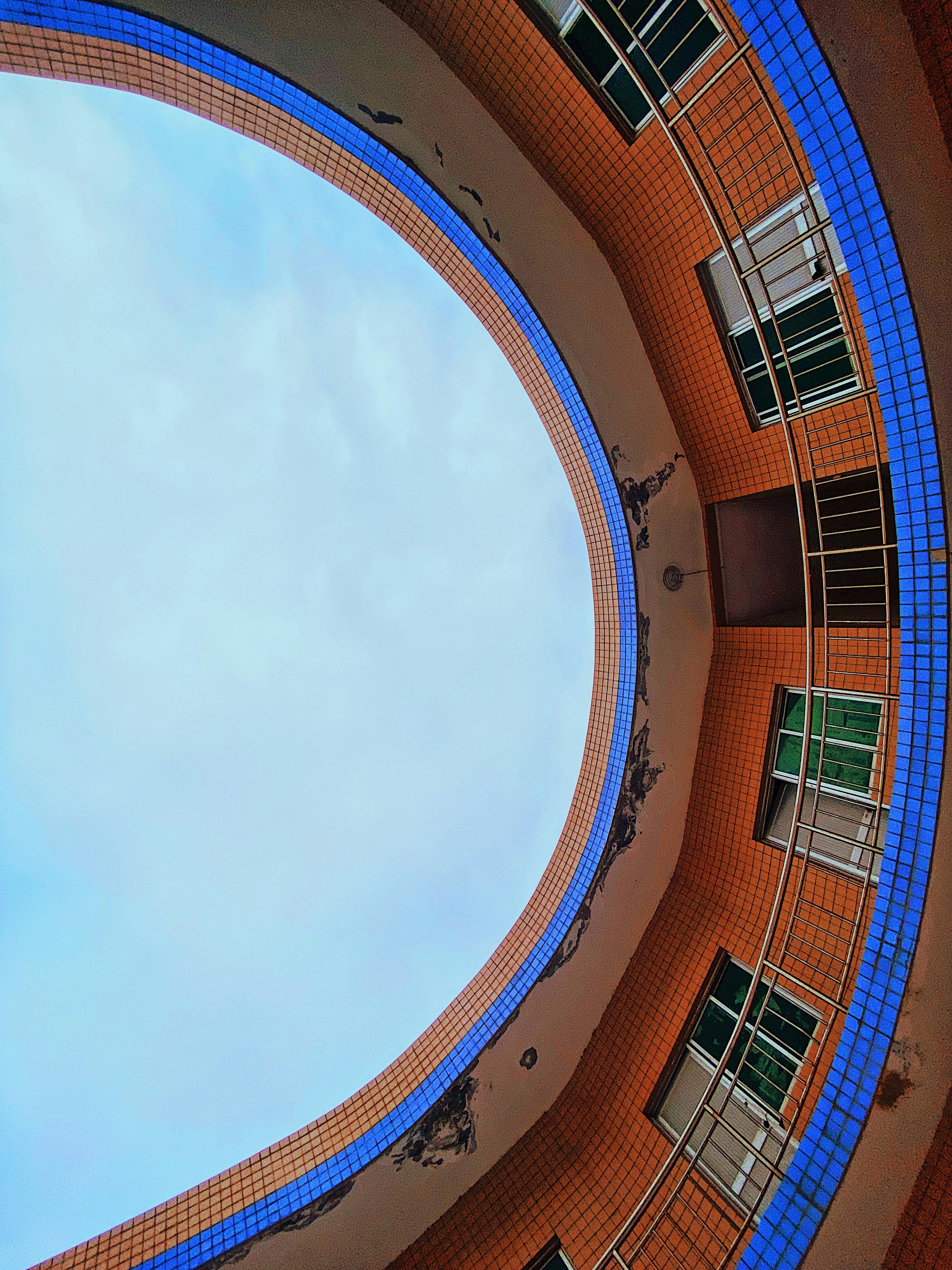 cabbage worm damage UK