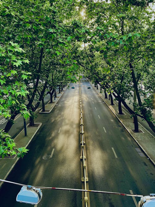 High Angle View of a City Street