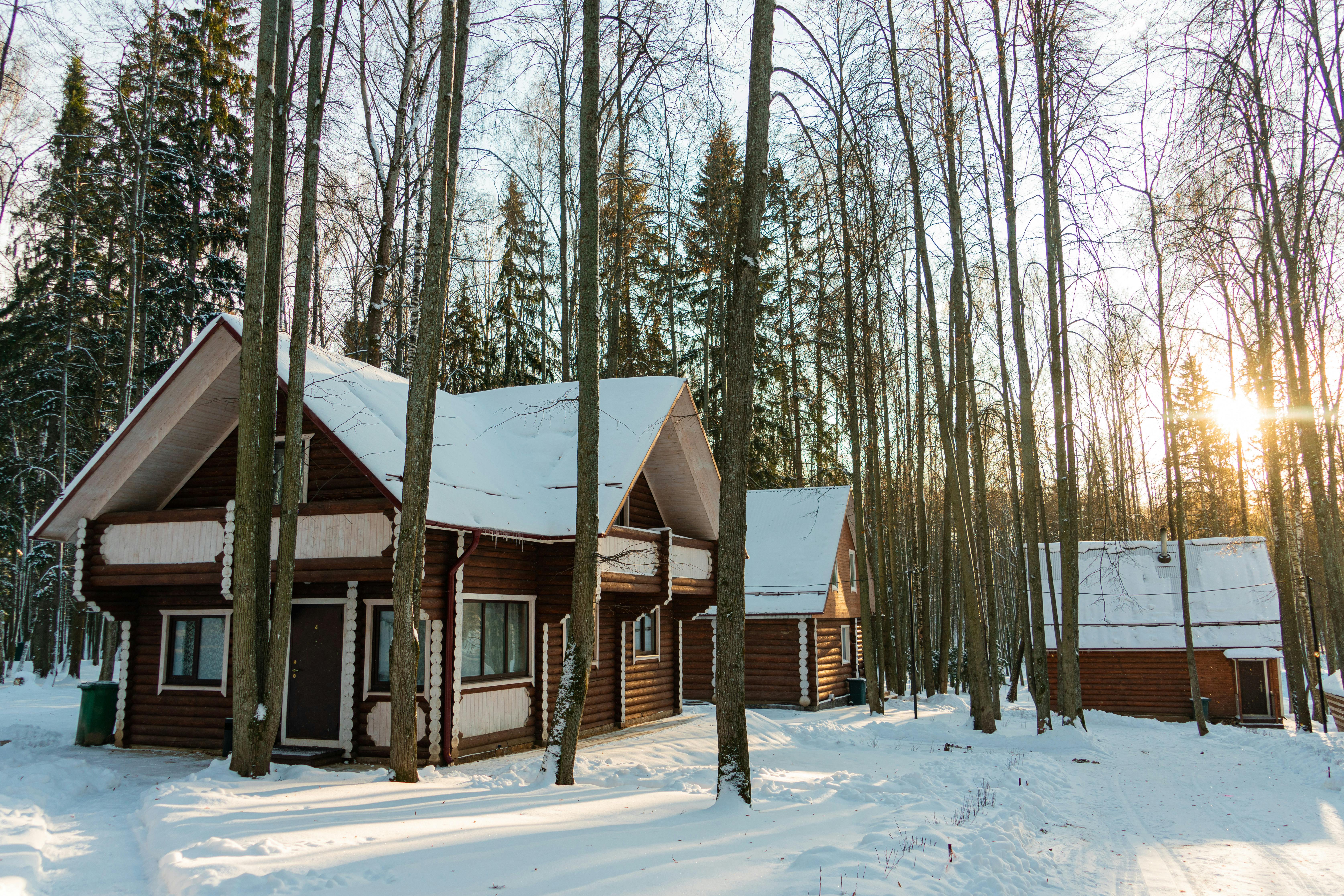 Photos gratuites de arbres, architecture en bois, auberge en pleine nature