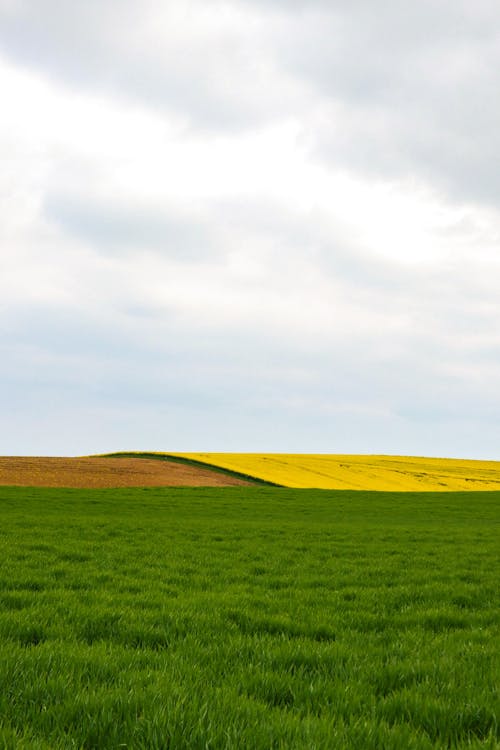 Fotos de stock gratuitas de campo, césped, escénico