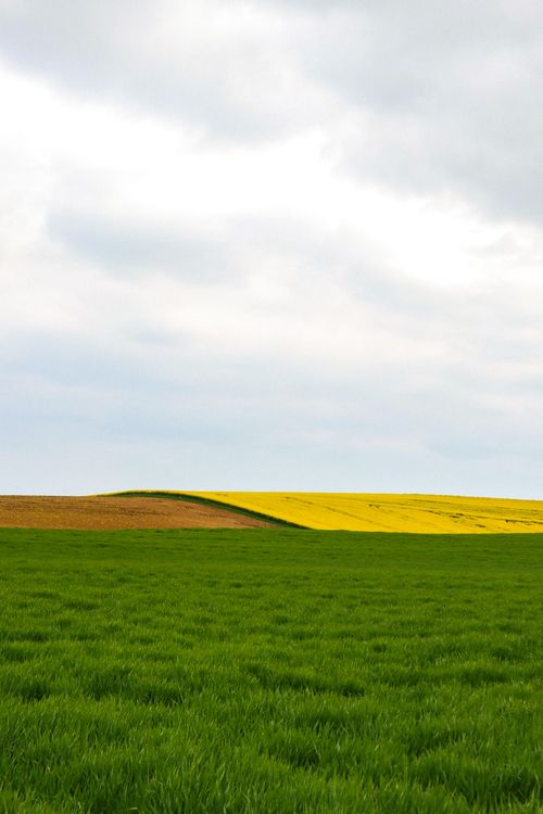 Free Green and yellow fields stretch under a cloudy sky in Bruchsal, Germany, showcasing vibrant natural beauty. Stock Photo